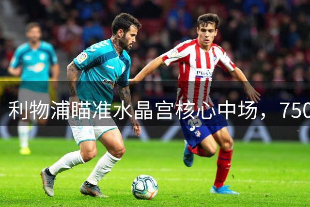 利物浦瞄准水晶宫核心中场，7500万镑或成转会门槛